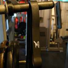 画像をギャラリービューアに読み込む, JURASSIC GEAR オリジナルマルチバンド