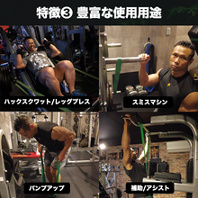 画像をギャラリービューアに読み込む, JURASSIC GEAR オリジナルマルチバンド