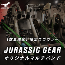 画像をギャラリービューアに読み込む, 【数量限定】JURASSIC GEAR オリジナルマルチバンド限定ロゴカラー
