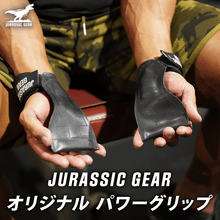 画像をギャラリービューアに読み込む, JURASSIC GEAR オリジナル パワーグリッププロ
